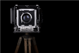 Passholder Experience: Smartphone Photography Class