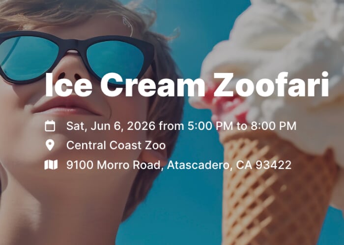 Ice Cream Zoofari