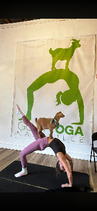 Goat Yoga Nashville- Awesome