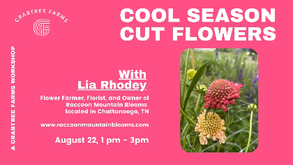 Cool Season Cut Flowers