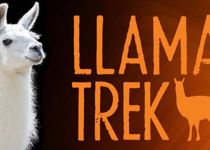 Llama Trek