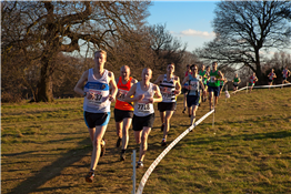 Cross Country (Co-ed V) @ Aaron Stephenson Memorial Invitational