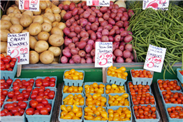 Holly Springs Farmers Market 8-noon