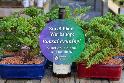 Sip & Plant Workshop: Bonsai Pruning!