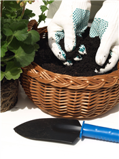 Volunteer at Betty Ford Alpine Gardens