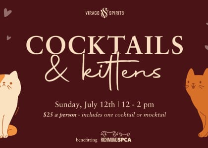 Cocktails + Kittens Fundraiser