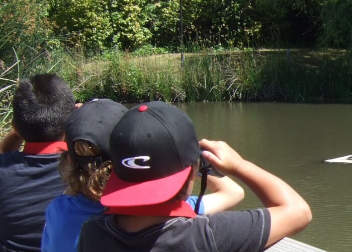 World of Birds Summer Camp