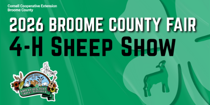 4-H Sheep Show