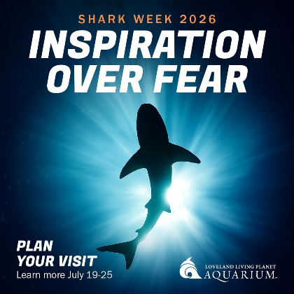 Shark Week