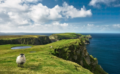 Treasures of Ireland Chamber Trip