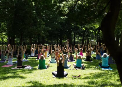 Yoga under the Trees at Ashland