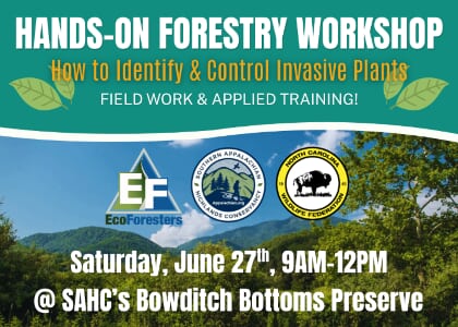 Hands-On Forestry Workshop: How to Identify and Control Invasive Plants