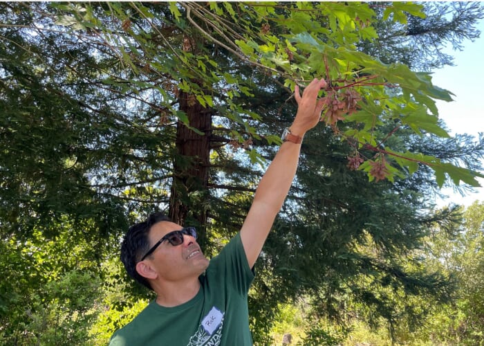 A Presentation by Rick Flores: The Uses of Native Plants at UCSC Arboretum & Botanic Garden, Oct 12
