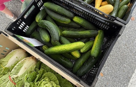 Food Gleaning in Howard County