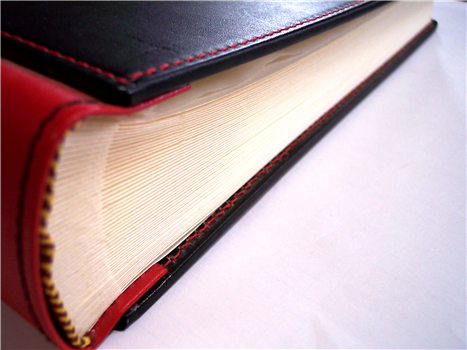 Library Garden at Martindale-Brightwood