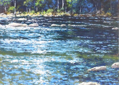 Martin Pasco: The French Broad River and It's Changing Moods