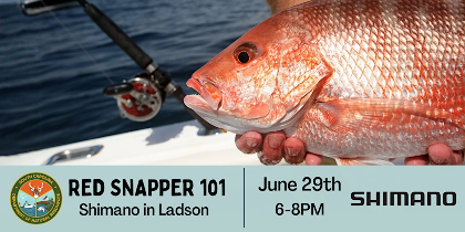 Red Snapper 101- Everything You Need to Know