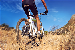 Weekly Mountain Bike Ride