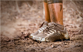 Apex Trailblazer - Hike Info Session