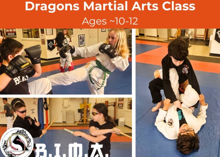 Dragons Martial Arts (Ages