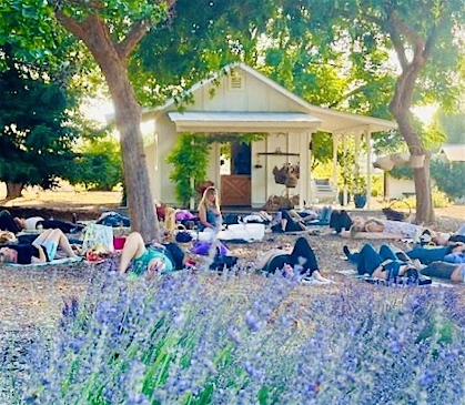 Lavender Farm Sunset Sound Bath