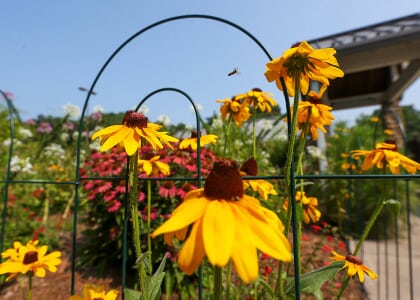 Preschool Field Trip: Keeley Community Garden