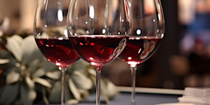 Wine & Charcuterie Tasting Experience