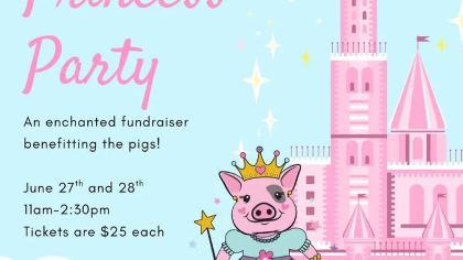 Princess Party