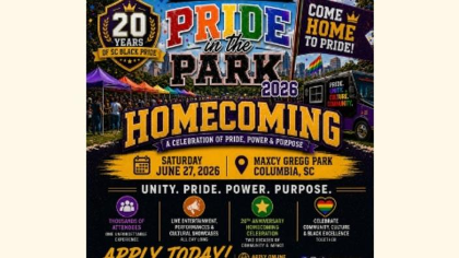 Pride in the Park and 20th Anniversary Celebration