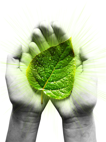 A Day of Ecosex at the MAH