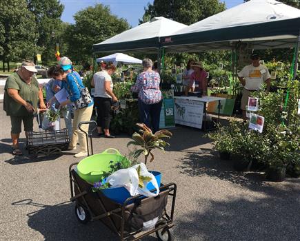 Lewis Ginter Spring Plant Sale