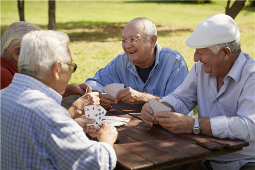 Retire on Purpose