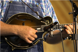 Wildfolk Music Fest