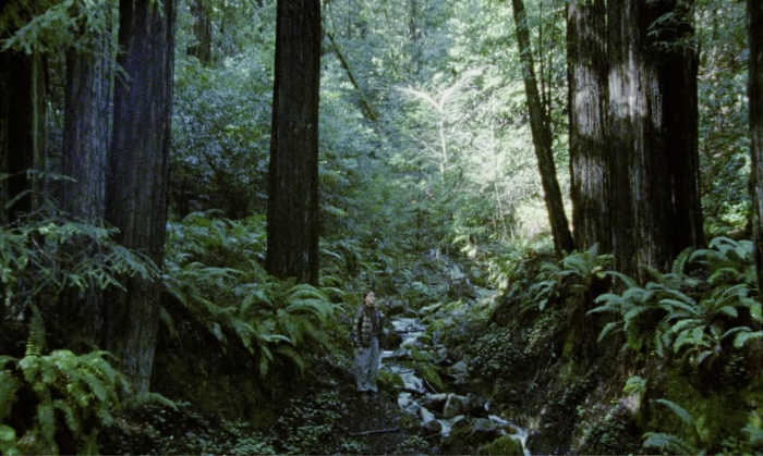 Tides of the Truth Short Film Program
