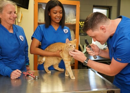 Veterinary Technician Info Session