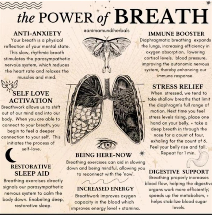 End Summer with an Exhale-Conscious Breathwork- An invitation back home