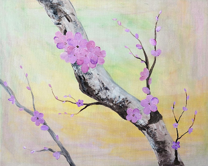 Cherry Blossoms @ Jubilee Field