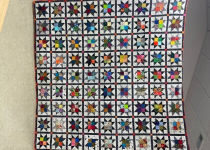 Shady Ladies Art Quilt Show