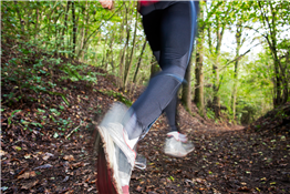 Labor Day Trail Race