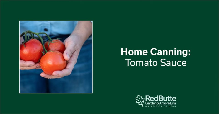 Home Canning: Tomato Sauce