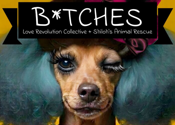 B*TCHES