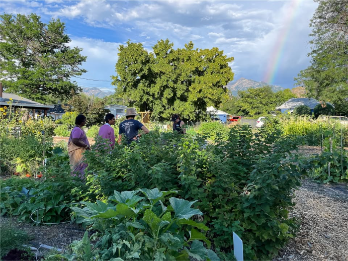 Wednesday Walk-Throughs: Emerson Elementary School Garden - FREE!