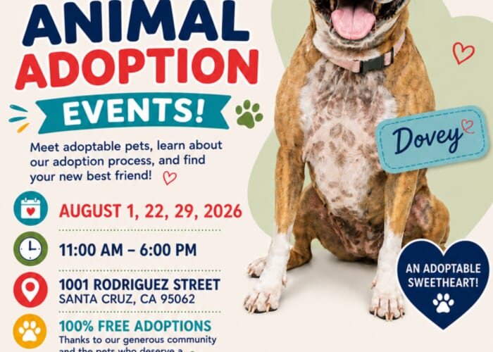 Clear the Shelters Free Pet Adoptions at the Santa Cruz Animal Shelter