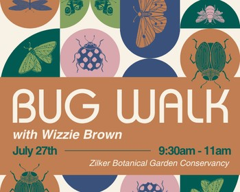 Bug Walk with Wizzie Brown