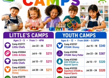 STEAM and art camps