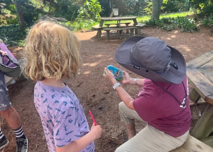 Budding Explorers: "Butterfly Detectives"