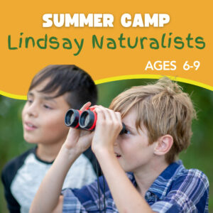 Lindsay Naturalist Full-Day Camp (Ages 6 - 9) 2026