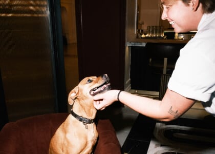 Paws on the Patio at Jots