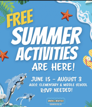 Bricks & Minifigs Gainesville Summer Activities