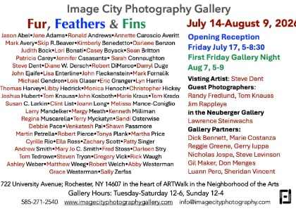 Fur, Feathers, & Fins; Through August ; Tues.-Sat., 12-6; Sun. 12-4
